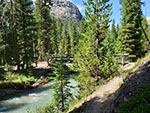 Bridge over a fork of the Green River a hundred yards or so from the bridge over the main fork. The trail continues up the west side of the valley to Three Forks Park.