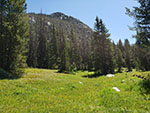 Trail Creek Park between Three Forks Park and Vista Pass.