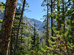 Looking up the canyon of Wells Creek from the switchbacks up Trail Creek.