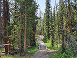 Bridge over a bog just past Downs Fork Creek.